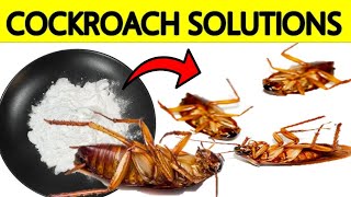 Safe Ways to Get Rid Of Cockroaches in the House And Kitchen Cabinets Without an Exterminator