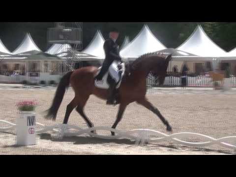 IMPERIO & Hubertus Schmidt - DM 2017