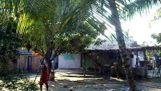 preview picture of video 'OLINTEOTL VIAJERO 4X4 Maruata, bajando cocos'