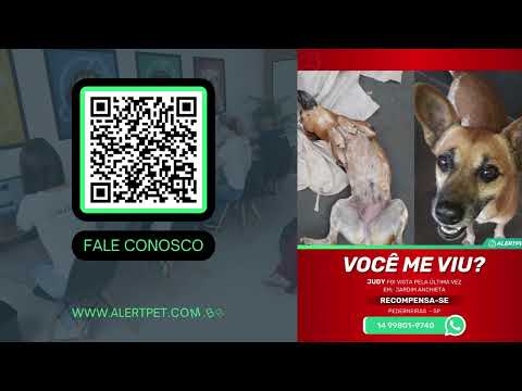 Cachorro Perdido RECOMPENSA-SE Pederneiras - São Paulo