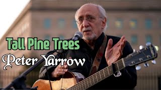 Tall Pine Trees - Peter Yarrow (피터 야로우,1972)|Lyrics|한글자막|🌲🙏🥰🥂