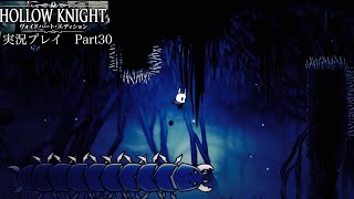 【Hollow Knight】暗闇の巣【独り言プレイ#30】