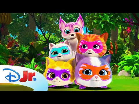 SuperKitties Su-Purr Adventures | NEW | "Su-Purr Wild!" Song 🎶 |  @disneyjr