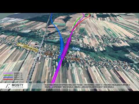 Wizualizacja Drogi Ekspresowej Nr S17 E372 Łopiennik Górny - Krasnystaw Odcinek 2