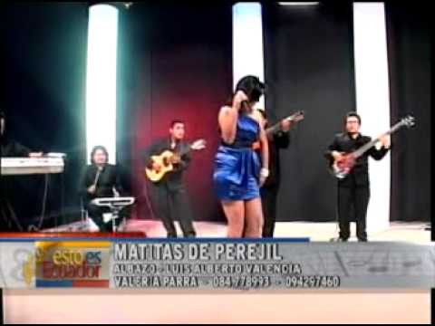 MATITAS DE PEREJIL