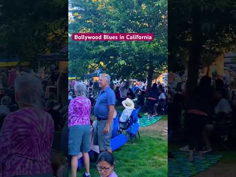 Live Bollywood Blues in California in Stafford Park.#livemusic #america #california  #bollywoodblues