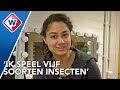 Van Marokkaanse Bruiloft naar kriebelbeestjes, Haagse actrice geeft alles in toneelstuk vol insecten