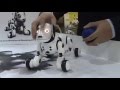 Spin Master - Zoomer the robotic puppy 