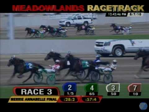 2010 Merrie Annabelle - theharnessedge.com