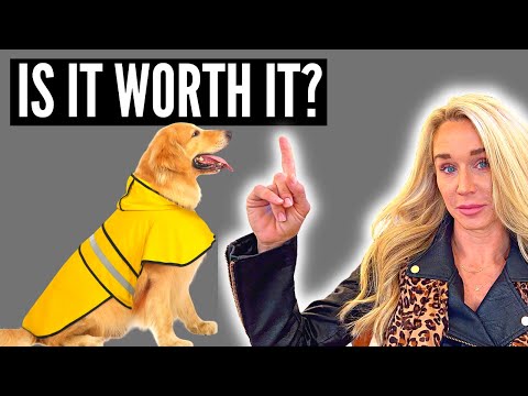 Watch Before You Buy HDE Dog Raincoat Hooded Slicker Poncho for Small to X Large Dogs & Puppies