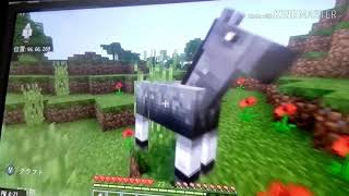 マイクラ糸なくて困る事件