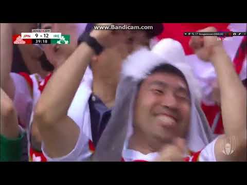 Japan - Ireland 19-12 Rugby world cup 2019 Highlights