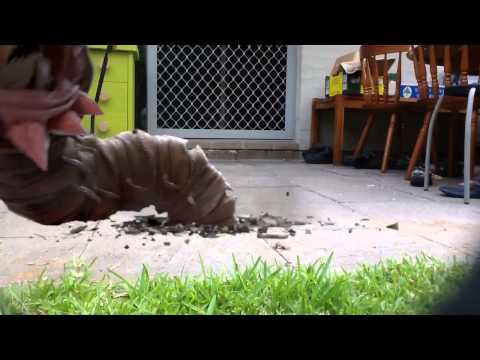 Aliens raid my house! 3