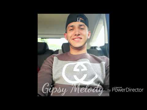 Gipsy Melody (Sprava)