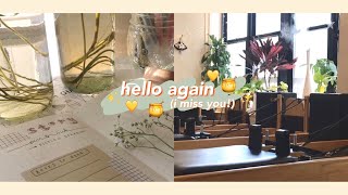 mini vlog) hello again 🍯