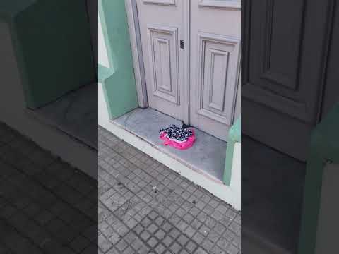 ¿Porque hay ropa tirada en las calles de PAN DE AZUCAR en URUGUAY?