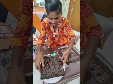 🤩1 kg Brownie Cake வெட்டி birthday கொண்டாட போறாங்க❤️