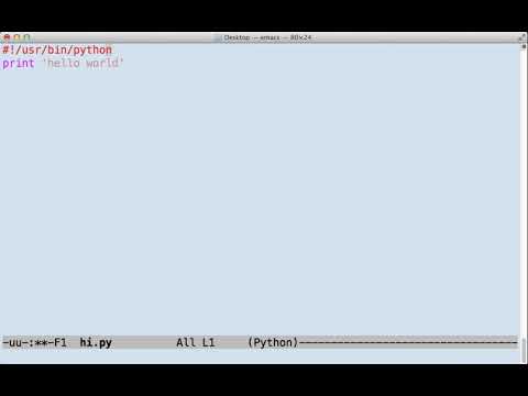 Running Python Code In A Shell Also How To Run Scripts Without Calling Python