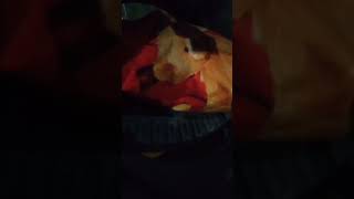 Download lagu SOPIR TRUK GAK ADA AKHLAK #shorts mp3