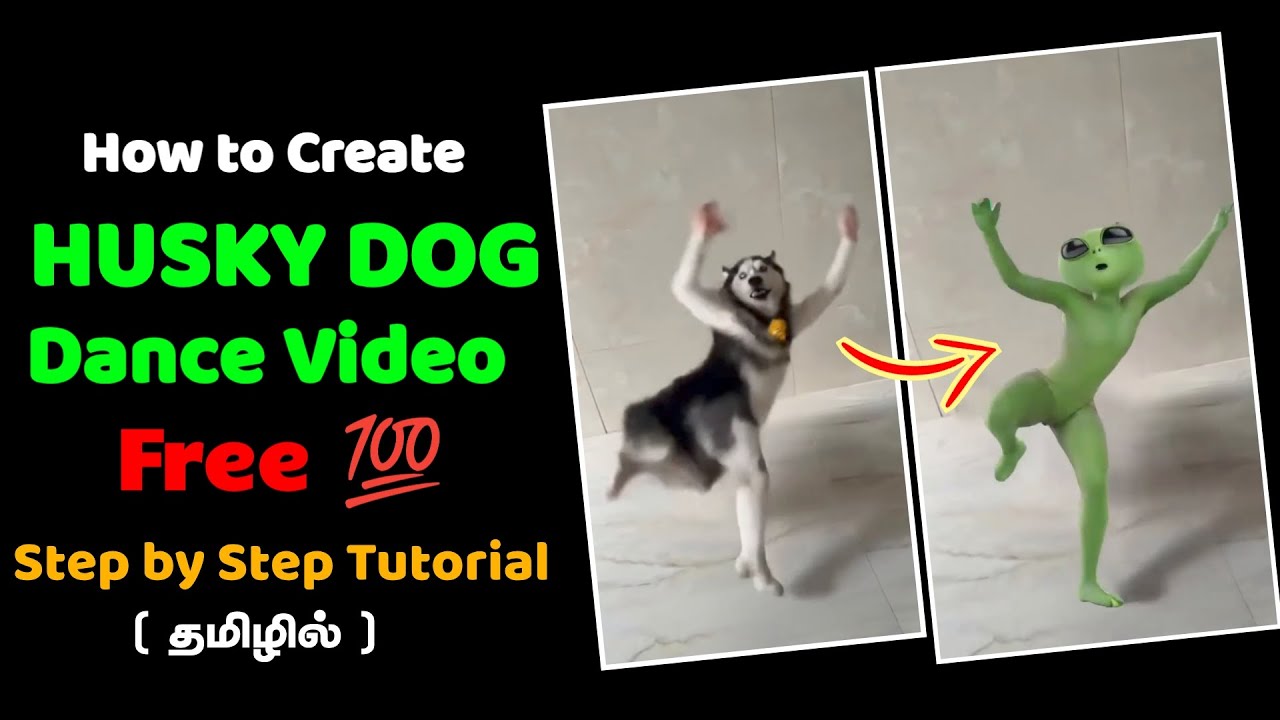 How to Create Husky Dog Dance Video | Ai Dance |Face swap | viggle Ai Tutorial | Tamil | Time Review video thumbnail