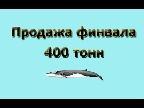 Русская Рыбалка 3.99 Продажа Финвала 400 тонн