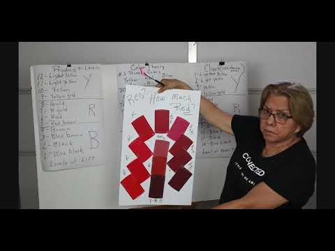 A to Z Cosmetology - Hair Color   DEFINED   Theory