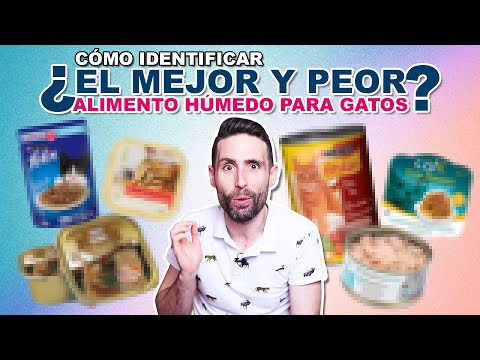 ¿Cuál es el MEJOR y PEOR ALIMENTO HÚMEDO (latita, sobre, paté...) para tu GATO según su etiqueta?