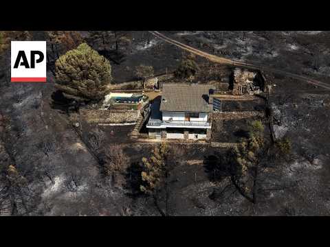 Video Thumbnail: Scene in Portugal, Greece, Spain, UK and Turkey as wildfires flare across Europe