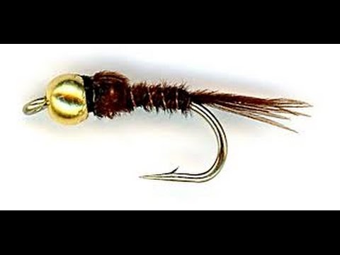 Worlds best nymph,catch more fish,guaranteed.