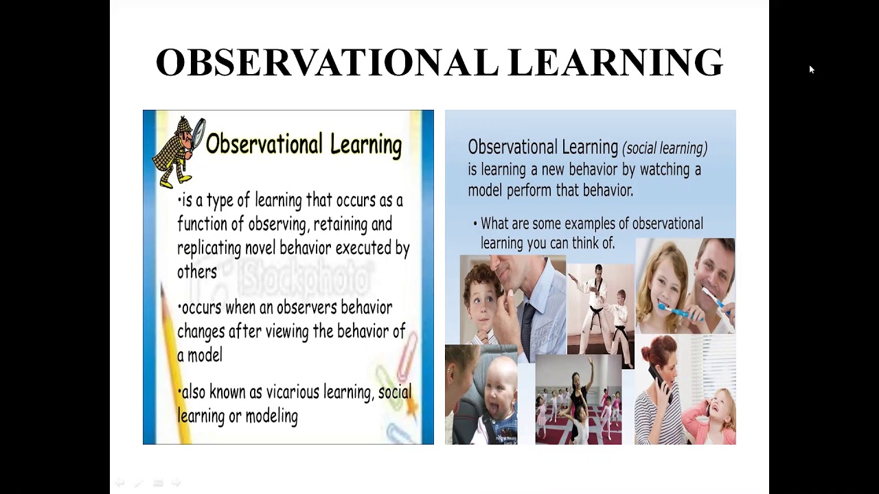 Class XI Psychology Chapter 6 Learning. Observational Learning and Cognitive Learning