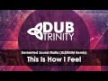 Demented Sound Mafia - This Is How I Feel ...