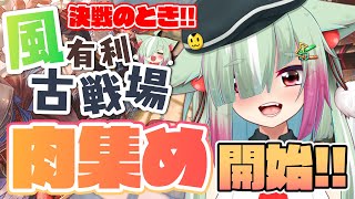 【グラブル/完全初見】風古戦場、肉集め！！前日考察の編成でも問題ないよね...？？/予選１日目【玉響憩/Vtuber】