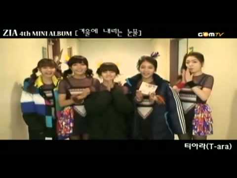 101228 ZIA 4th MINI Album ::: T-ARA, Orange Caramel, CNBlue (etc.)