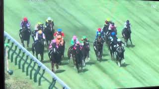 新潟10Rカメラワーク楽しい