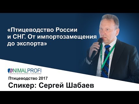 ANIMALPROFI. Август 2017. Сергей Шабаев: Птицеводство России и СНГ от импортозамещения до экспорта