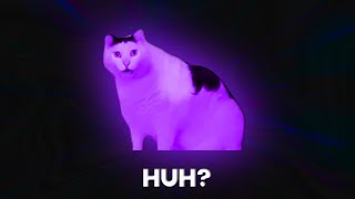 15 Huh Cat Meme Sound Variations in 30 Seconds - Ayieeeks Original