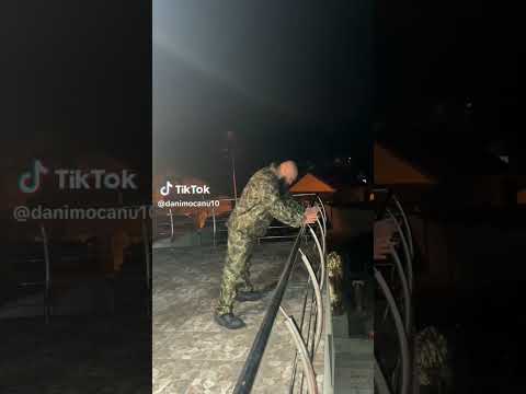 Dani Mocanu X Alex velea - Copii ăștia s-au șmecherit ăsta e subiectu #danimocanu #alexvelea