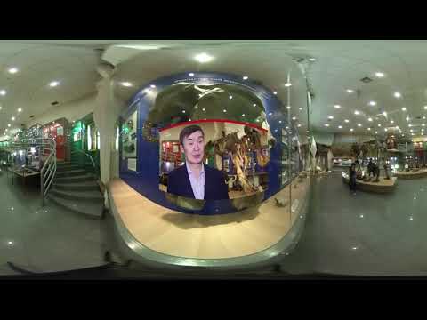 Панорамная видеоэкскурсия: Музей мамонта Якутии в формате 360°