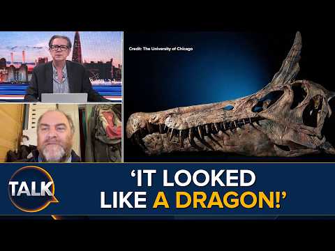 ‘Head Is Bigger Than A Body!’ | ‘Dragon’ Species That Lived 95 Million Years Ago Found In Sahara