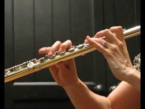 Pearl PF- 885 Handmade Flute (Used) - (Cantabile 8800)  Excellent! (Response Demo)