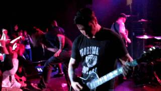 CALICO SYSTEM REUNION - EVA BRAUN