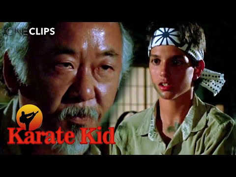 The Karate Kid | Mr. Miyagi's Training Pays Off | CineClips