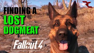 Fallout 4 | How to Find a Lost Dogmeat/Companion (Fallout 4 Guides)