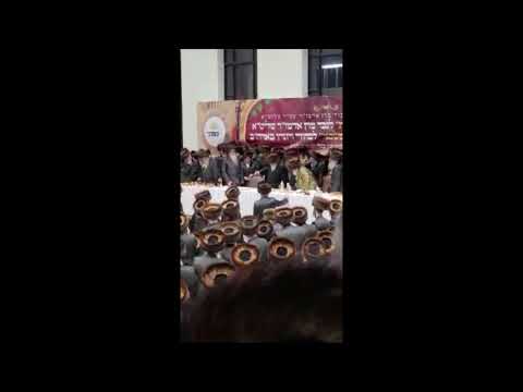 Skver Viznitz Sheva Brochos - Kislev 5782