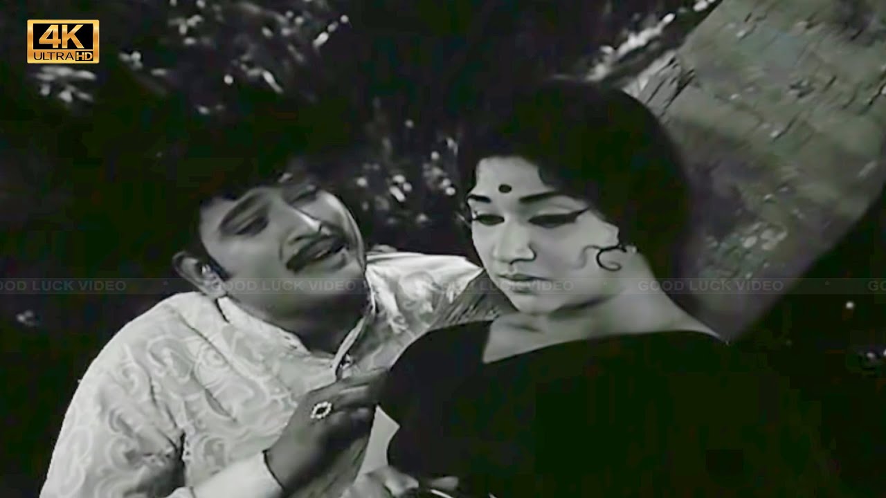 Anbe Amudha (Happy) Song Lyrics | Amudha | T. M. Soundararajan