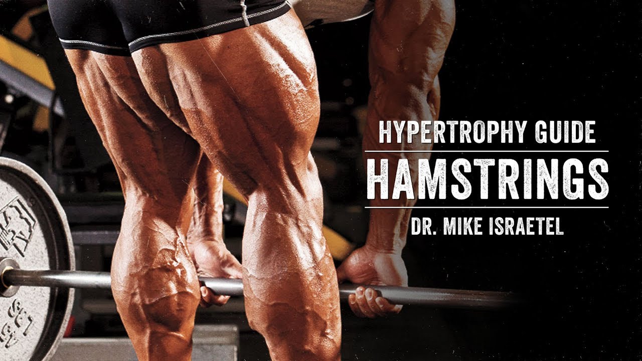 Hypertrophy Guide | Hamstrings | JTSstrength.com