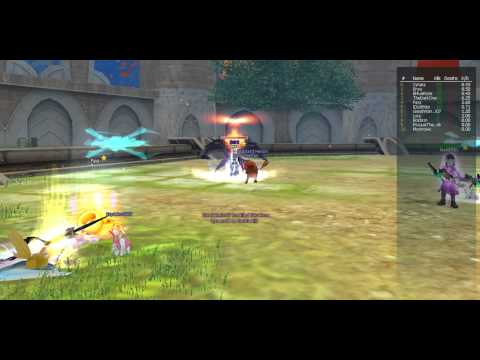 Insanity Flyff - Crackshooter Dmg Record