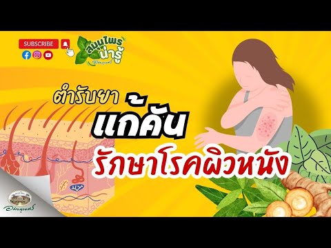 เปิดตำรับยาสมุนไพร แก้อาการคัน โรคผิวหนัง l สมุนไพรน่ารู้ (2025)