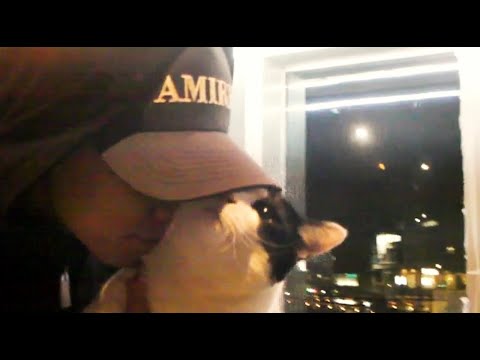 MIKADO - Tears (Official Video )