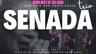 Download lagu senada trio (live cover aek nauli resto) mp3 Download lagu senada trio (live cover aek nauli resto) mp3